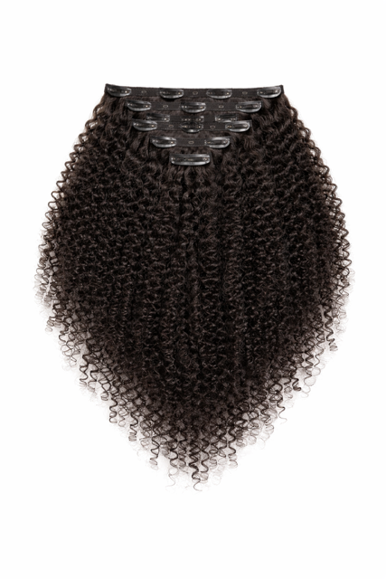 Epic Raw Kinky Curly Clip-Ins Hair Extensions