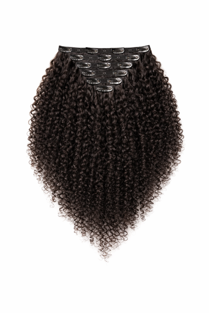 Epic Raw Curly Clip-Ins Hair Extension