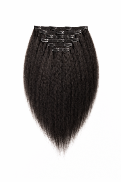Epic Raw Kinky Straight Clip-Ins Hair Extensions